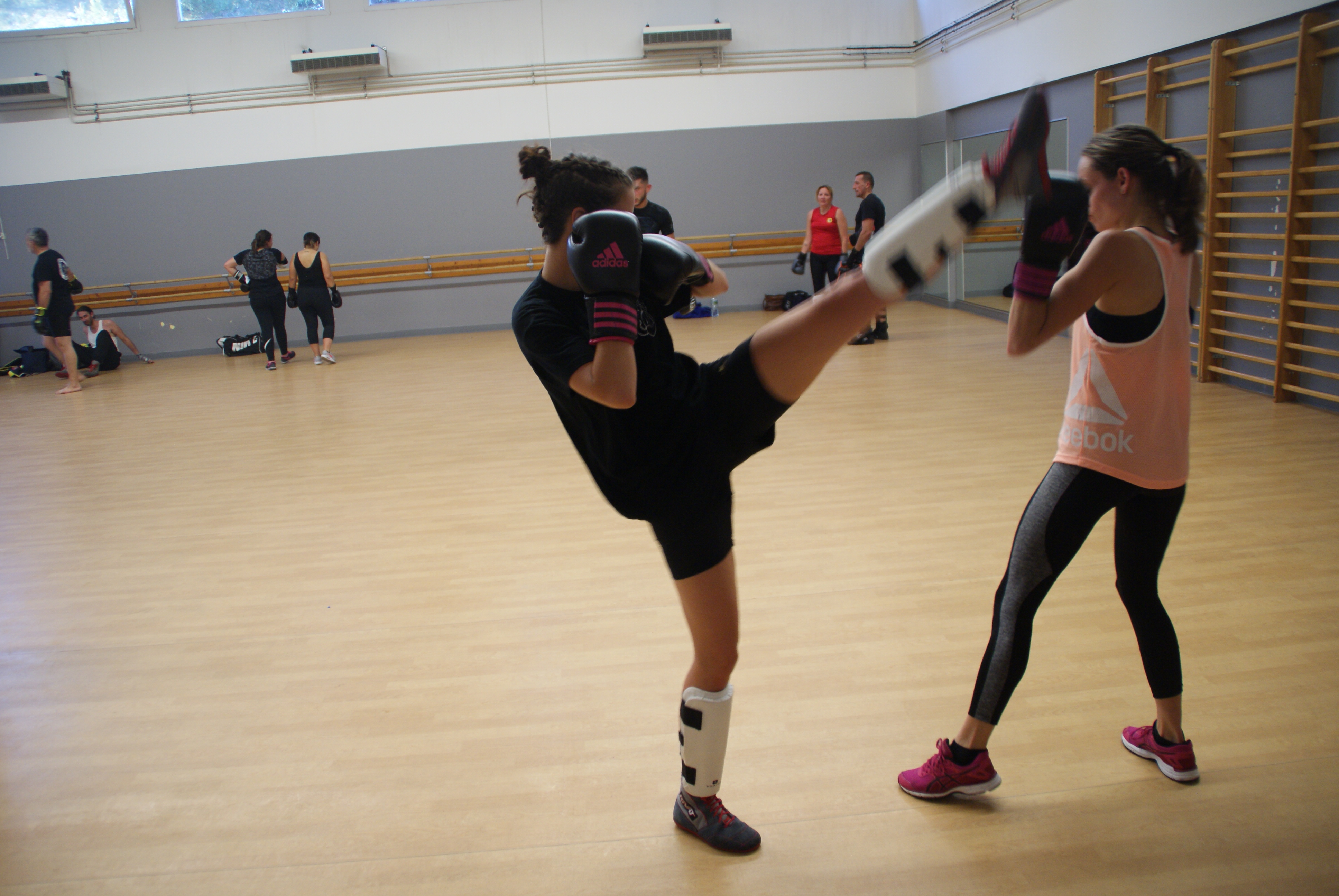 Le Cercle Nîmois De Boxe Française 